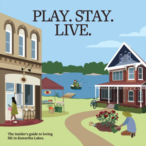 Play. Stay. Live. cover